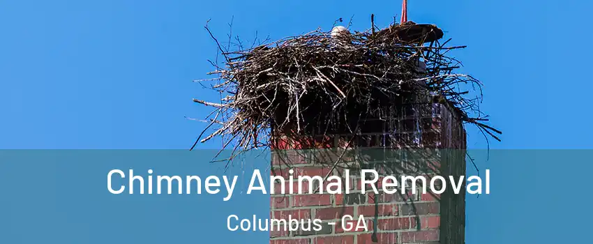 Chimney Animal Removal Columbus - GA