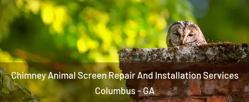  Chimney Animal Screen Repair And Installation Services Columbus - GA