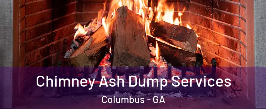  Chimney Ash Dump Services Columbus - GA