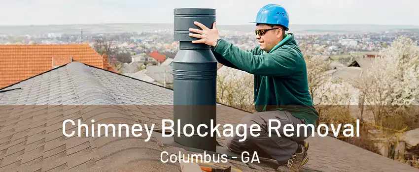  Chimney Blockage Removal Columbus - GA