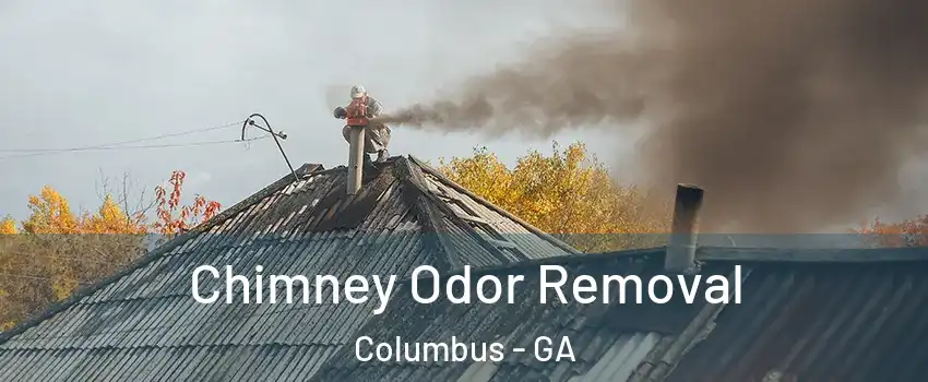  Chimney Odor Removal Columbus - GA
