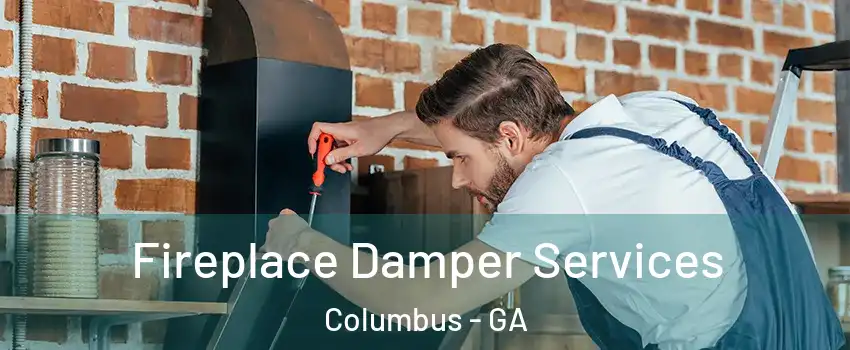  Fireplace Damper Services Columbus - GA