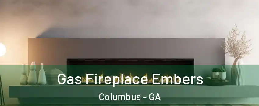  Gas Fireplace Embers Columbus - GA