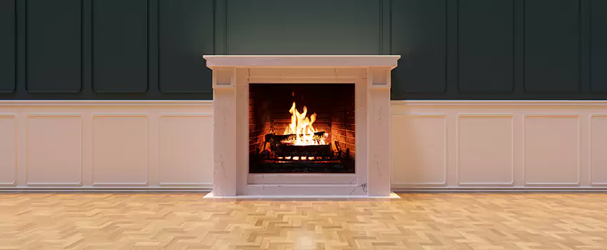 Napoleon Electric Fireplaces Inspection Service in Columbus, Georgia