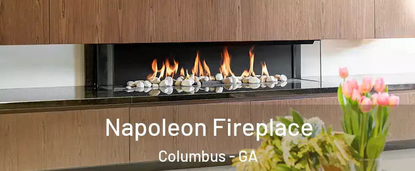  Napoleon Fireplace Columbus - GA